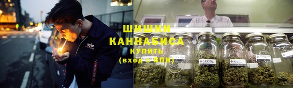 ПСИЛОЦИБИНОВЫЕ ГРИБЫ Алексин