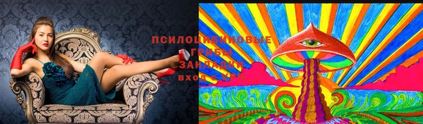 герыч Пестово