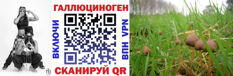 нарко площадка какой сайт  блэк спрут вход  Новая Ладога  Псилоцибиновые грибы GOLDEN TEACHER 